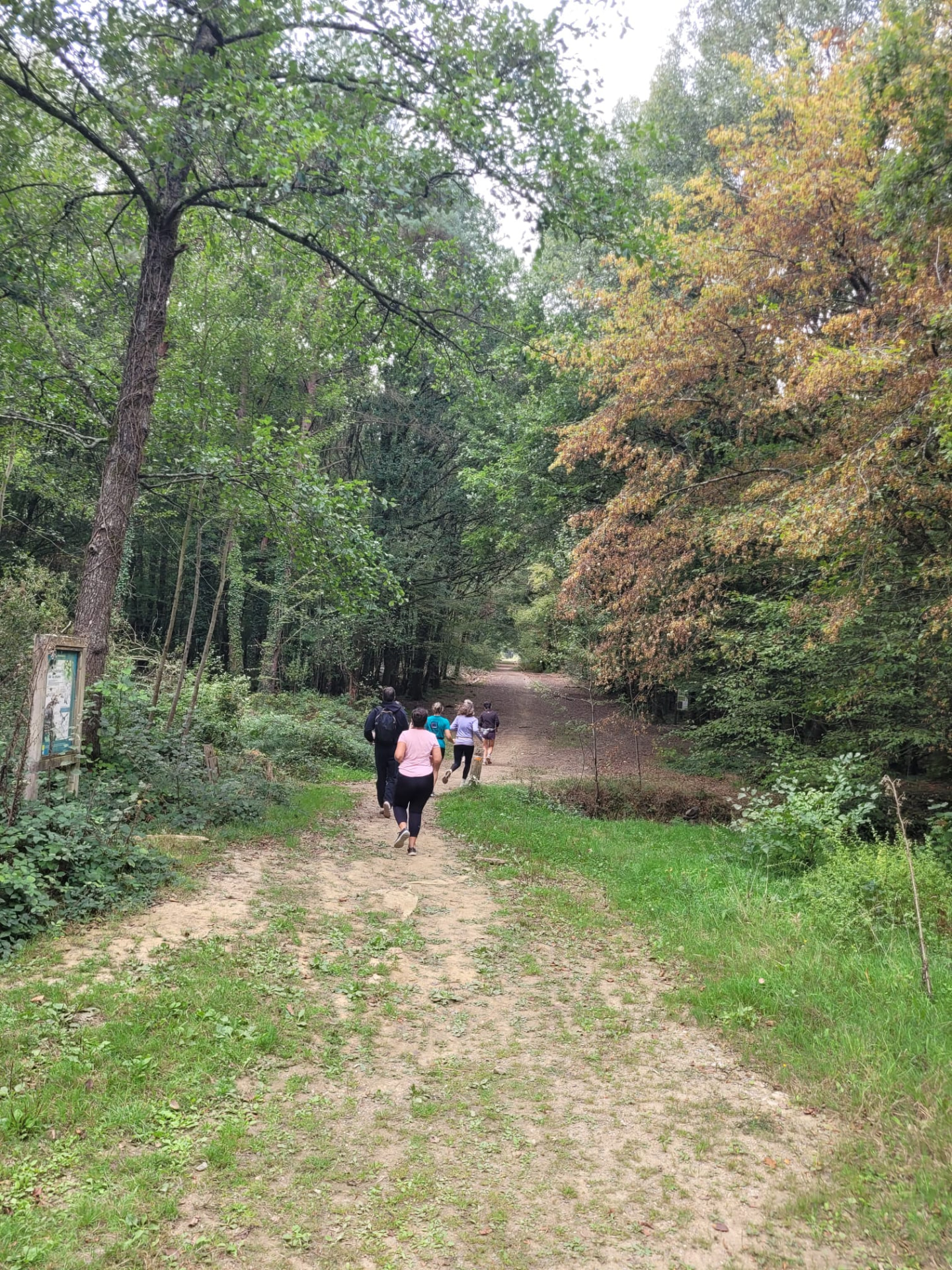 Go Out Women courant ensemble sur un chemin en forêt
